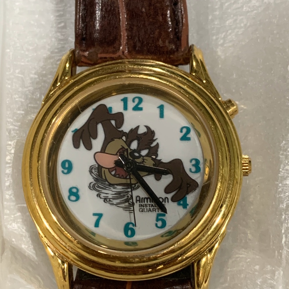Looney Tunes Tasmanian Devil Watch